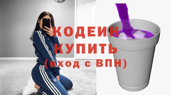 хмурый Ладушкин