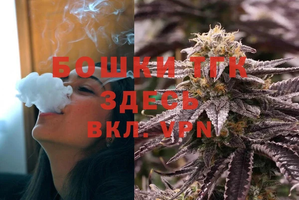 хмурый Ладушкин