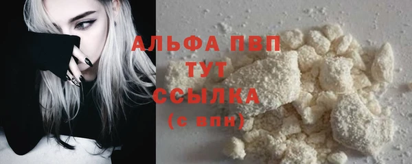 индика Лагань