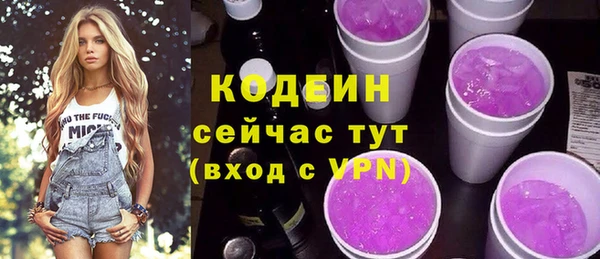 индика Лагань